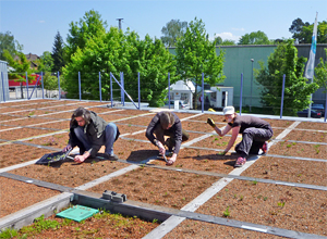 Research on individual layers of a green roof system build-up